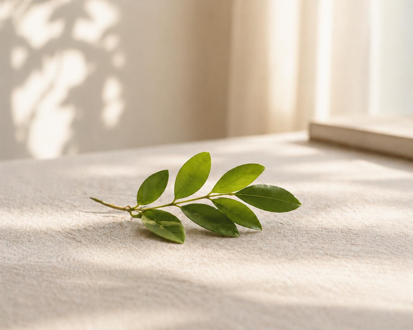 있는 그대로의 이해